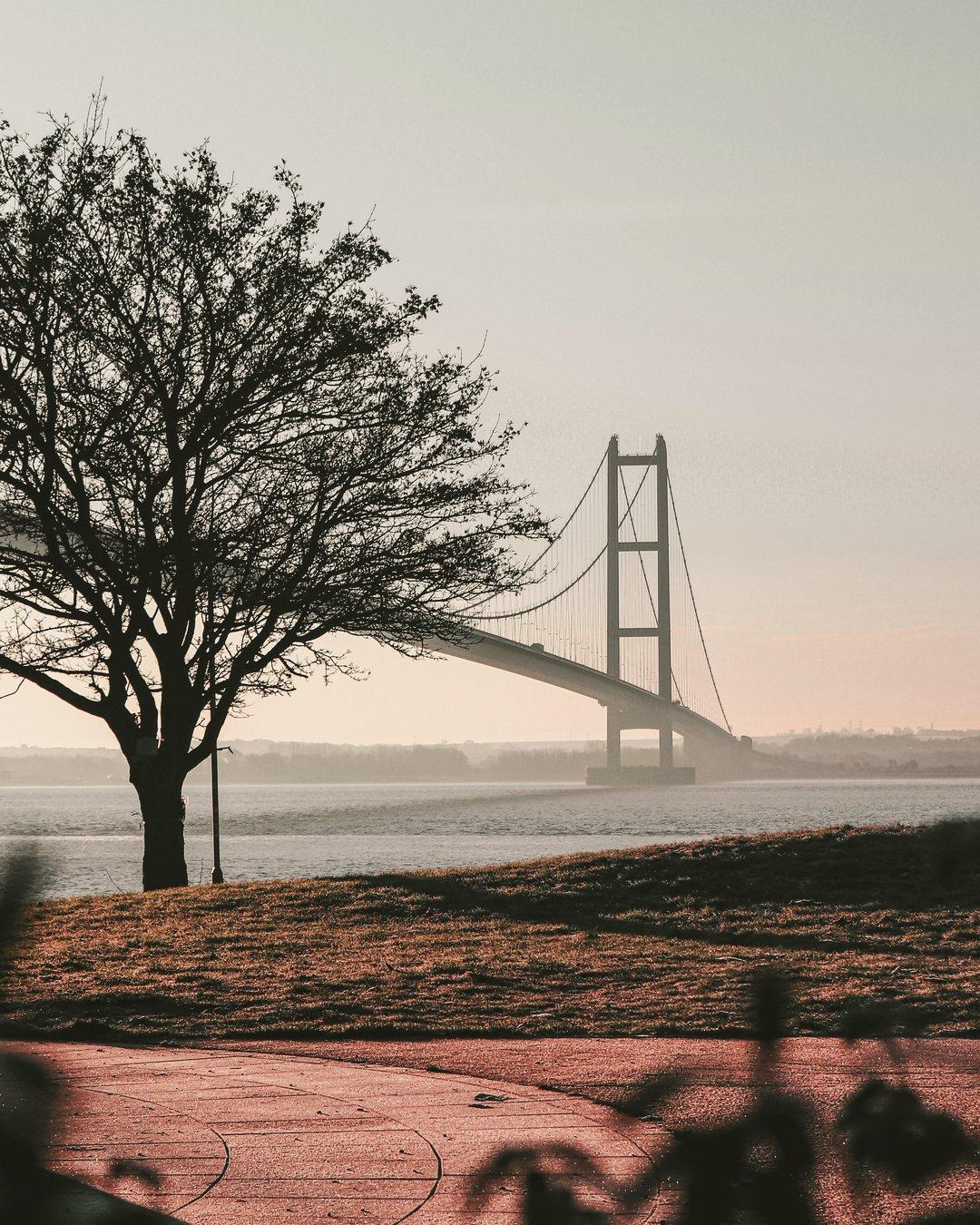 A bare tree and the Humber Bridge in soft dusk haze over the estuary