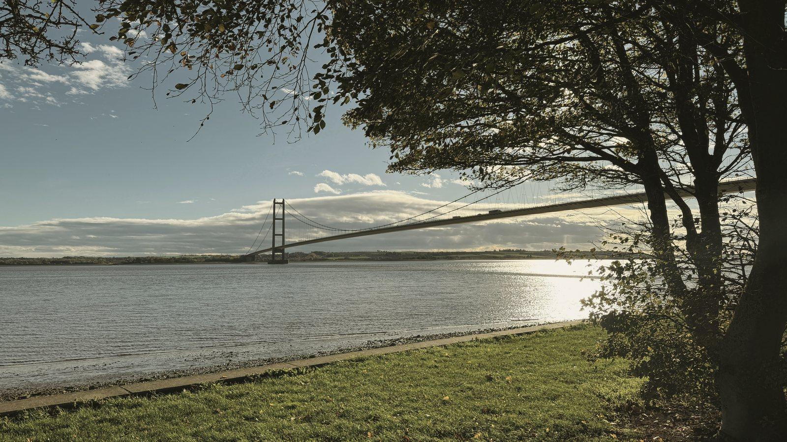 The Humber Bridge across a calm estuary, seen from a grassy bank under trees